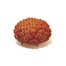 Anana Poof Aqua Creations
