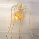 Aqua Regia Aqua Creations