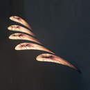 Aqua Creations Nana 200 Suspended lights