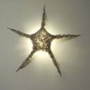 Aqua Creations Starlight 140 Deckenanbauleuchten Wandanbauleuchten