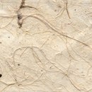 Kamism KP 5318 Paper / Cardboard Wallcoverings / Wallpaper