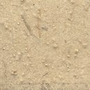 Kamism KP 5481 Paper / Cardboard Wallcoverings / Wallpaper