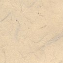 Kamism KP 5488 Paper / Cardboard Wallcoverings / Wallpaper