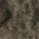 Kamism KP 5631 Paper / Cardboard Wallcoverings / Wallpaper