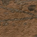 Kamism KP 5647 Paper / Cardboard Wallcoverings / Wallpaper