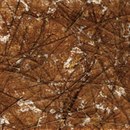 Kamism KP 5661 Paper / Cardboard Wallcoverings / Wallpaper