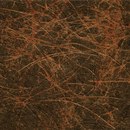 Kamism KP 5667 Paper / Cardboard Wallcoverings / Wallpaper