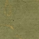 Kamism KP 5672 Paper / Cardboard Wallcoverings / Wallpaper