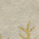 Kamism KP 5680 Paper / Cardboard Wallcoverings / Wallpaper