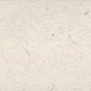 Kamism KP 5696 Paper / Cardboard Wallcoverings / Wallpaper