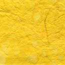 Kamism KP 5856 Paper / Cardboard Wallcoverings / Wallpaper