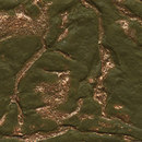 Kamism KP 5931 Paper / Cardboard Wallcoverings / Wallpaper
