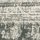 Kamism KP 1523 Paper / Cardboard Wallcoverings / Wallpaper