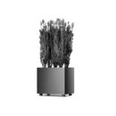 Hess Palma L 450 x 300 - Typ A Planter Living-room / Office complements