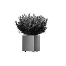 Hess Palma Q 300 - Typ A Planter Living-room / Office complements