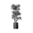Hess Palma R 300 - Type A Planter Living-room / Office complements