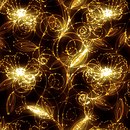 Nature Ray Charles Camilla Diedrich Walls
