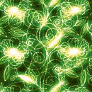 Nature Ray Charles Camilla Diedrich Walls
