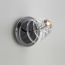Quasar Anemoon Wall or Ceiling Spotlight