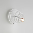 Quasar Anemon Wall or Ceiling Spotlight