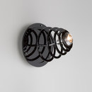 Quasar Anemon Wall or Ceiling Spotlight