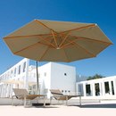 Umbrellas Royal Botania