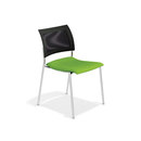 Feniks 2468/00 Casala