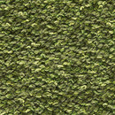 Esther Green 38-3008 Kasthall