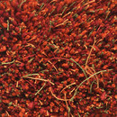 Moss Orange 7 Kasthall