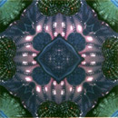 Blue Glitz 2 Dominic Crinson