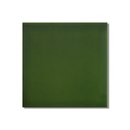 Golem GmbH Wandfliese F10.28 Grünflocke Wandfliesen