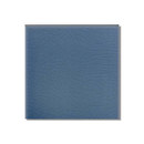 Golem GmbH Wandfliese F10.22 hell Blaugrau Wandfliesen