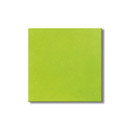 Steuler Fliesen GmbH Kerarock lime mat 33x33 Floor tiles