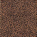 Venus Ceramica African Eden Jaguar 25x60 Wandfliesen