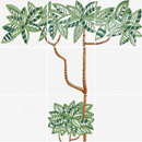 Ceramica Bardelli Cuban Veranda 5 60x160cm Material: Ceramic Wall art / Murals Wall tiles