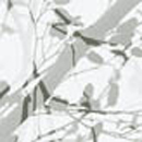 Extratapete Kimiko [Collection 4] Papiers peint
