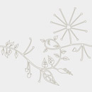 Primavera Platinum 20x20cm Ceramica Bardelli