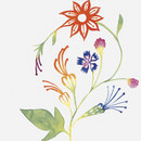 Primavera Colore 1 Ceramica Bardelli