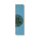 Ceramiche Supergres B-Kind Isatis List. Pearl 12,4x45 Wall tiles