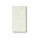 Ceramiche Supergres Rigo Ice Ramage Roses 30,5x56 Wall tiles