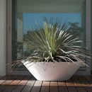 Vondom Fang Centro Living-room / Office complements Planting