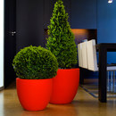 Vondom Fang Cuenco Accessoires d'habitat / de bureau Aménagement d'espaces verts