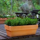 Vondom Fang Jardinera conica Accessoires d'habitat / de bureau Aménagement d'espaces verts
