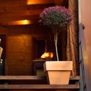 Vondom Fang Vaso cuadrado Living-room / Office complements Planting