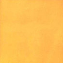 Giallo Reale 20x20 Giovanni De Maio