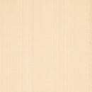 Venezia salmone 25x46 Iris Ceramica