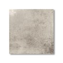 Ceracasa Evolution Rodio Wall tiles