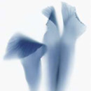 Novablue F/1 31.5x52cm Viva Ceramica