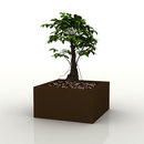 Vondom Fang Land Living-room / Office complements Planting
