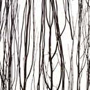 3form Europe Thicket Raven Ecoresin™ Paneel Material: Kunststoffe Material: Recyclingmaterial Wandpaneele